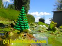 /home//u458753944/public_html/sourcegallery///Frogs/Bullfrogs 2016-08 Ontario/P8081377.JPG
